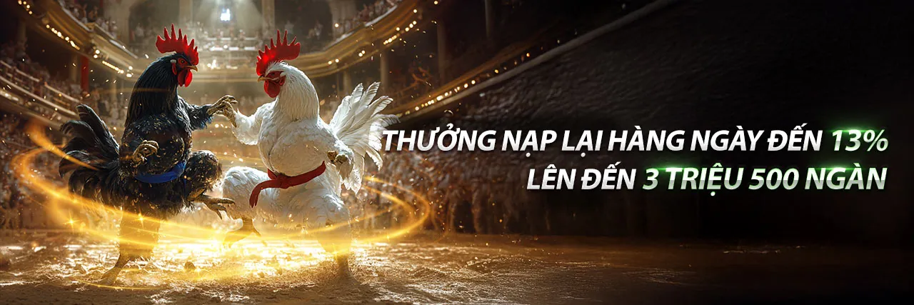 Đá Gà C 2 Trực Tuyến Hấp Dẫn